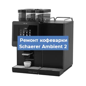 Чистка кофемашины Schaerer Ambient 2 от кофейных масел в Нижнем Новгороде